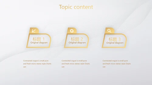 道德与法治工作总结动态PPT模板