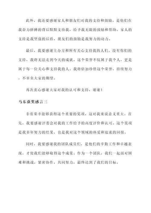 马东获奖感言