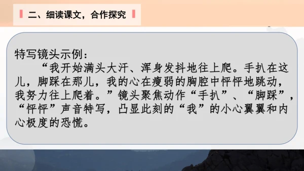 14 走一步，再走一步 课件(共24张PPT)