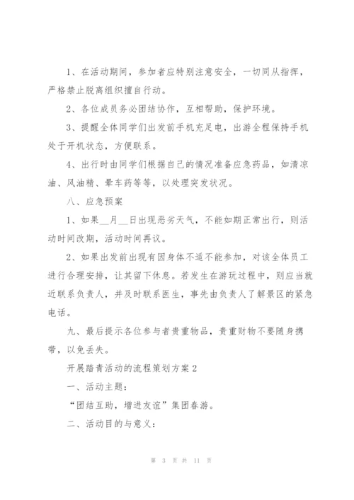 开展踏青活动的流程策划方案.docx