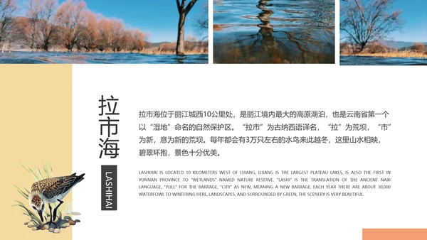 文旅项目丽江旅游宣传景点通用PPT模板