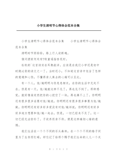 小学生清明节心得体会范本合集.docx