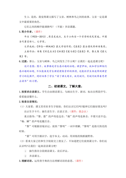23.父亲、树林和鸟