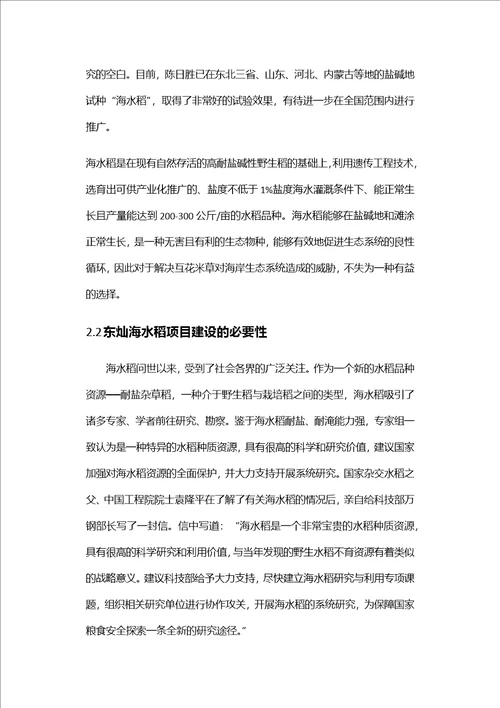 东灿海上水稻项目商业计划书