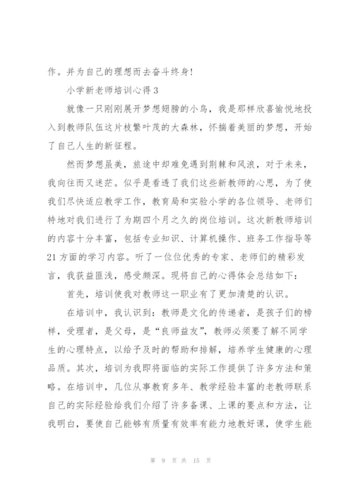 小学新老师培训心得.docx