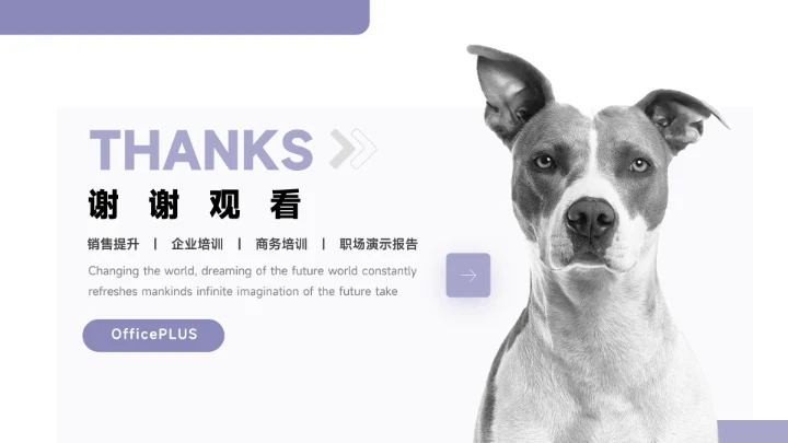 紫色简洁宠物业简约数据报告PPT模板