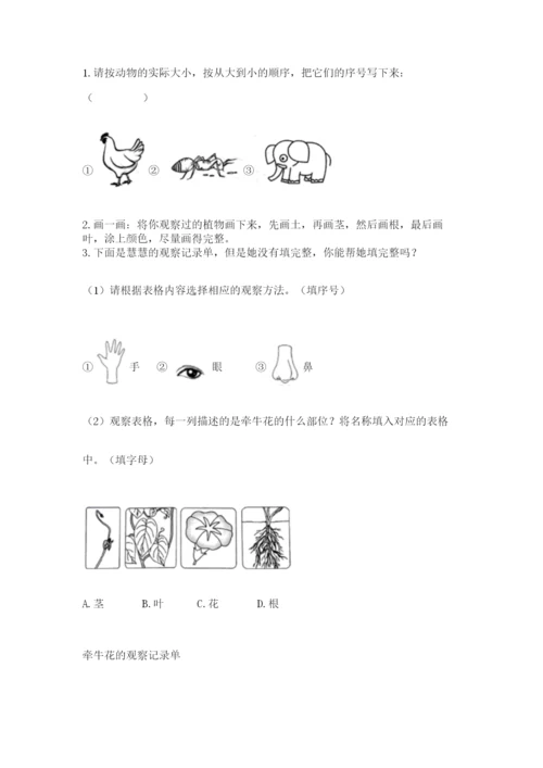 教科版一年级上册科学期末测试卷【各地真题】.docx