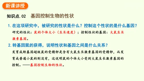 7.2.1基因控制生物的性状-八年级生物人教版下学期同步精品课件(共27张PPT)