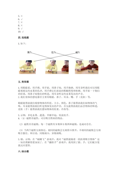 教科版二年级下册科学期末测试卷附参考答案【考试直接用】.docx