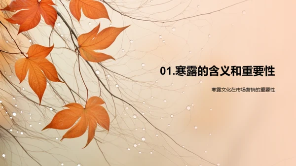 寒露营销策略