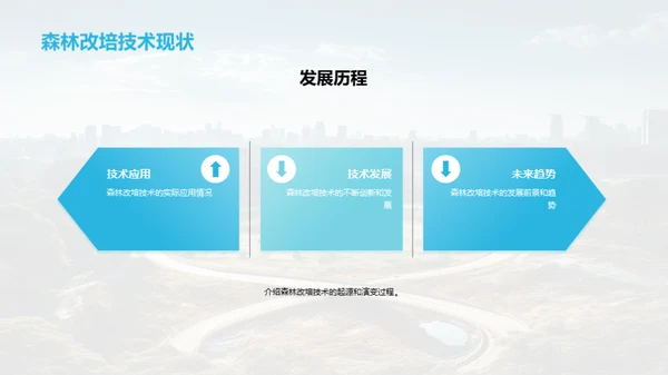 森林改培：绿色革新
