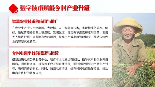 红色商务风乡村振兴战略实施与发展规划PPT模板