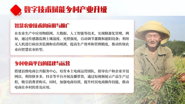 红色商务风乡村振兴战略实施与发展规划PPT模板