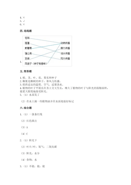 科学四年级下册第一单元植物的生长变化测试卷（模拟题）.docx