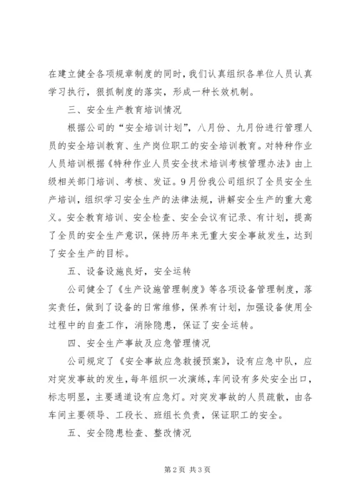 安全标准化自评报告 (3).docx