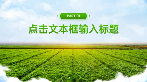 绿色农业风乡村介绍通用PPT模板