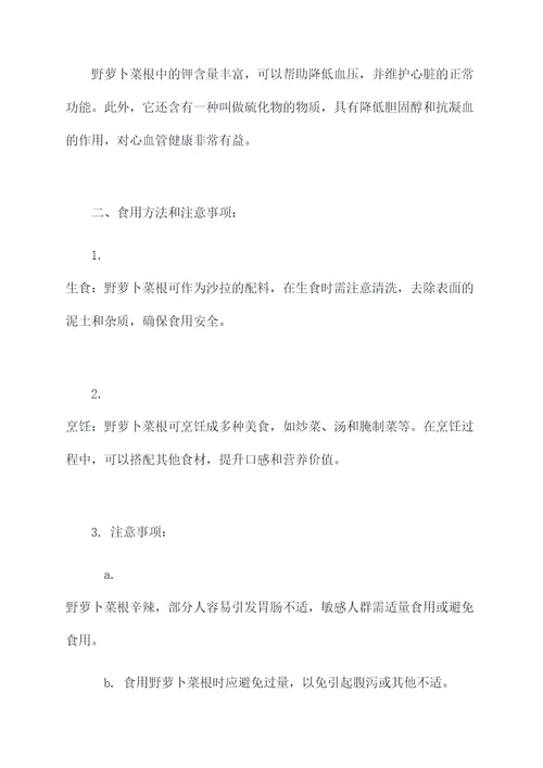 野萝卜菜根的作用和功效