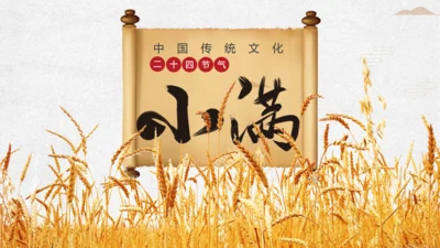 金色麦穗小满通用PPT模板