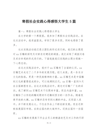 寒假社会实践心得感悟大学生5篇.docx