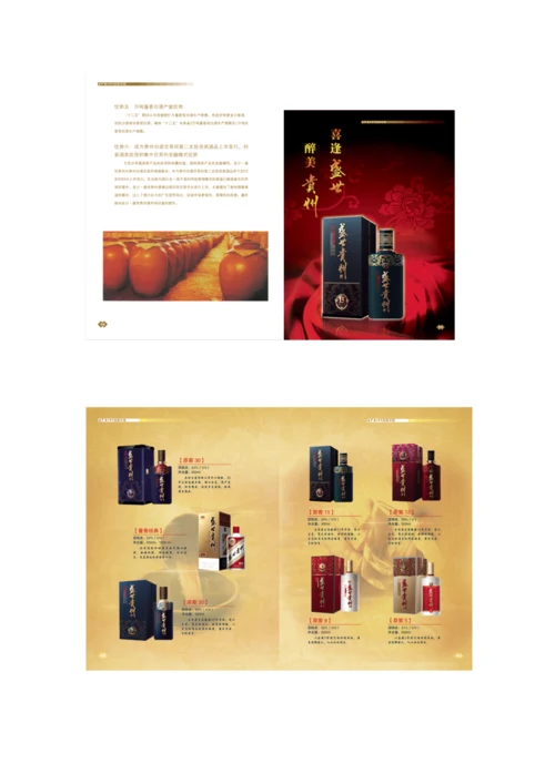 金沙·盛世贵州招商手册.docx