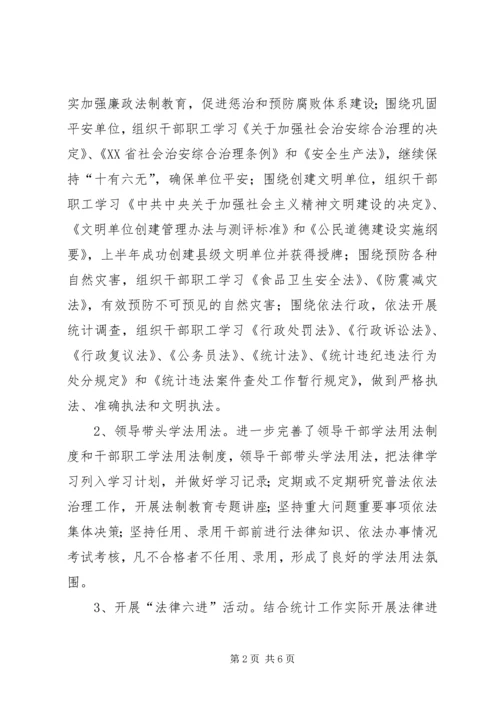 县统计局普法依法整治工作汇报.docx