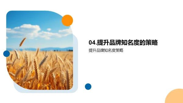 农业市场创新策略