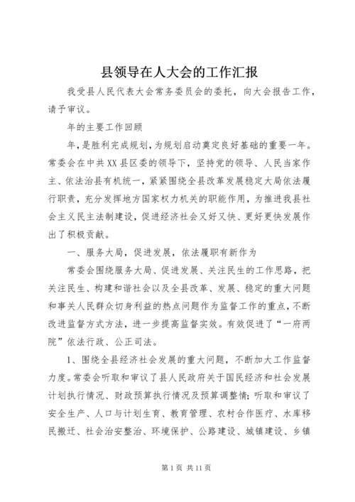 县领导在人大会的工作汇报.docx