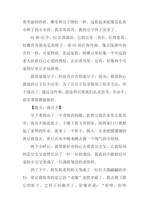 关于泡豆子的作文.docx