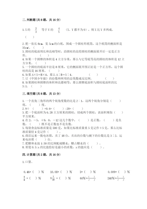 人教版六年级下册数学期末测试卷（考点精练）.docx