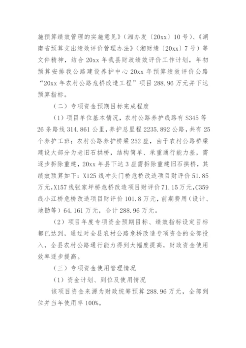 农村公路绩效评价报告.docx