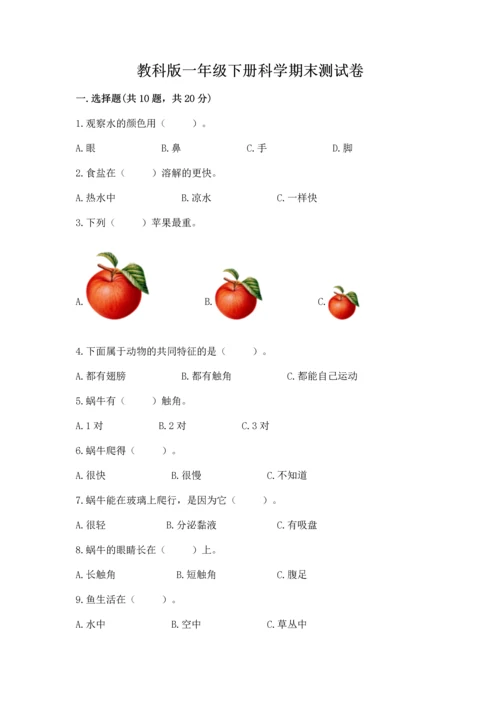教科版一年级下册科学期末测试卷【有一套】.docx