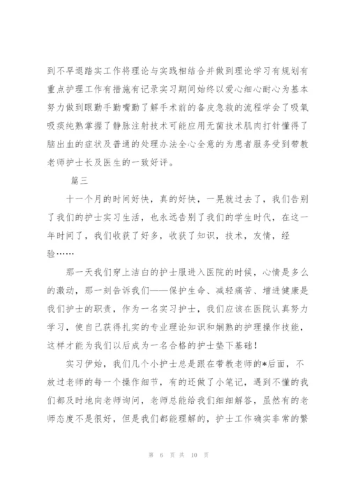 实习护士护理工作个人总结三篇.docx