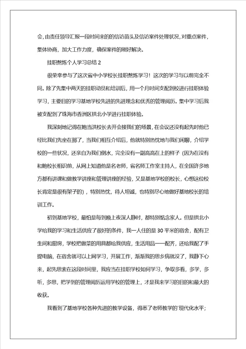 挂职锻炼个人学习总结