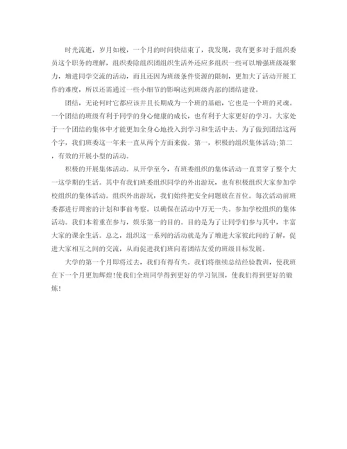 精编之班级组织委员个人工作总结范文.docx