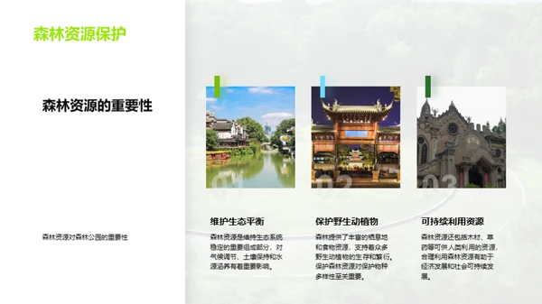 守护绿色家园