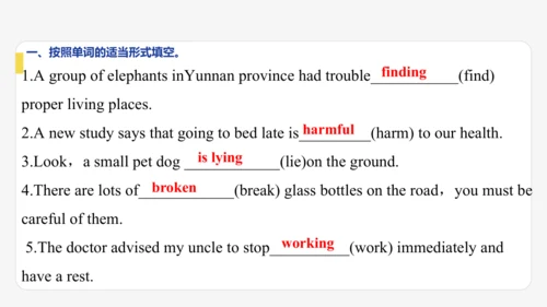 Module12 Help期末模块复习课件-外研版八年级上册