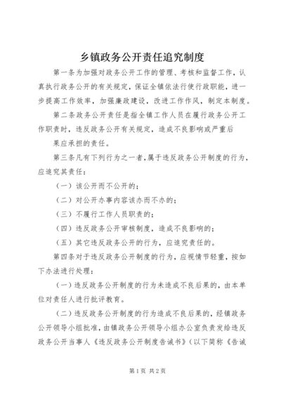 乡镇政务公开责任追究制度.docx