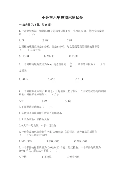 小升初六年级期末测试卷及完整答案【典优】.docx