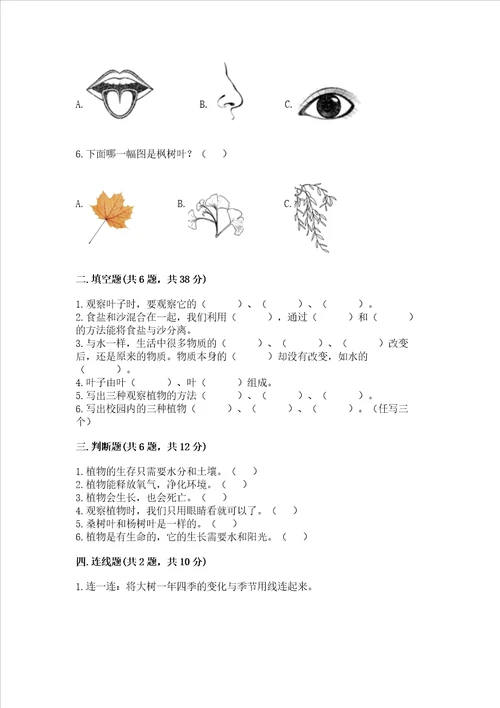 教科版科学一年级上册第一单元植物测试卷含答案突破训练