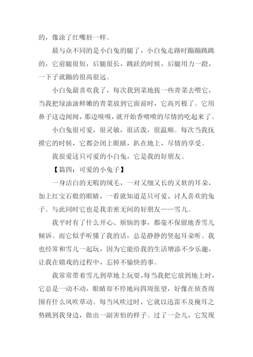 可爱的小兔子作文350字.docx