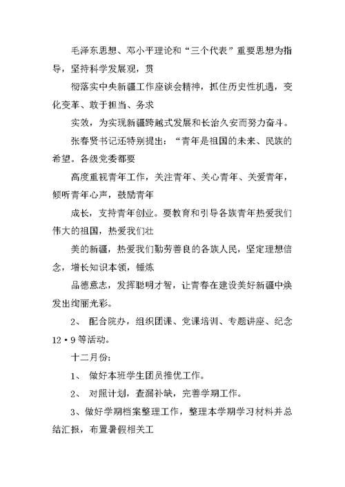 工作总结,团支部
