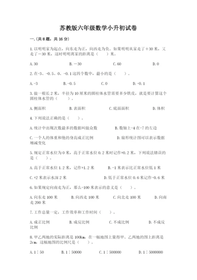 苏教版六年级数学小升初试卷【网校专用】.docx