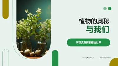 植物的奥秘与我们