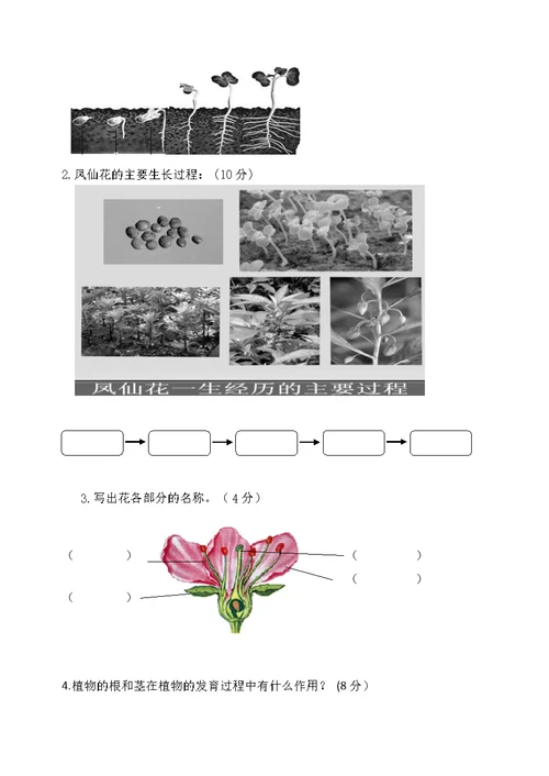 教科版小学科学三年级下册各单元练习题