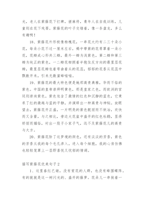 描写紫藤花优美句子.docx