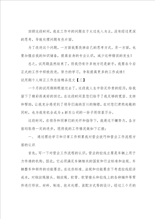 试用期个人转正工作总结精品范文