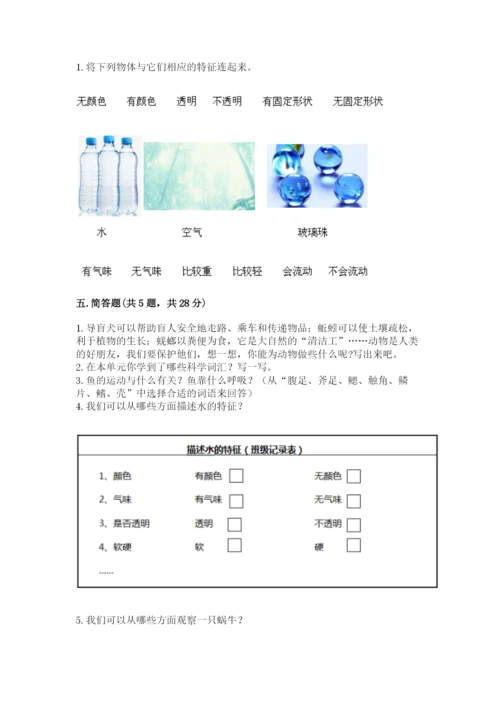 教科版一年级下册科学期末测试卷【能力提升】.docx