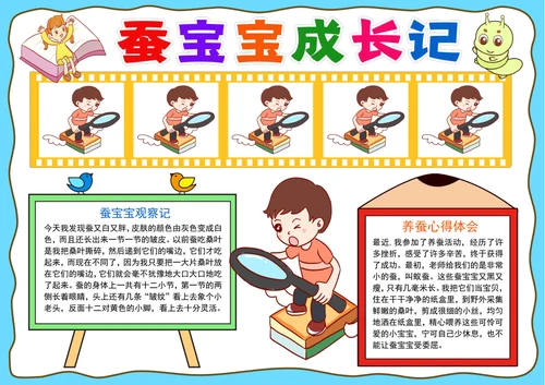 养蚕小报蚕宝宝成长记手抄报观察日记电子小报