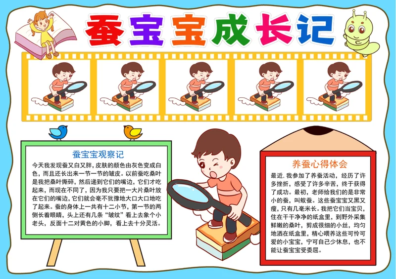 养蚕小报蚕宝宝成长记手抄报观察日记电子小报