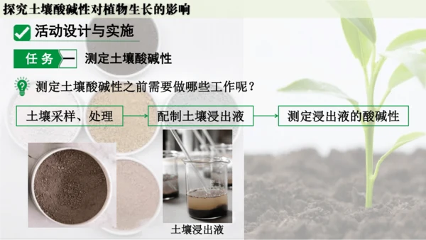 跨学科实践活动9  探究土壤酸碱性对植物生长的影响课件(共33张PPT)